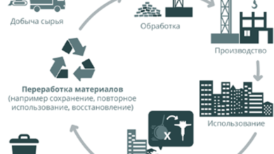 Photo of Экологические аспекты при выборе отделочных материалов